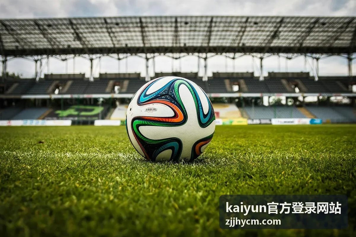kaiyun官方登录网站版本更新与校验信息界面